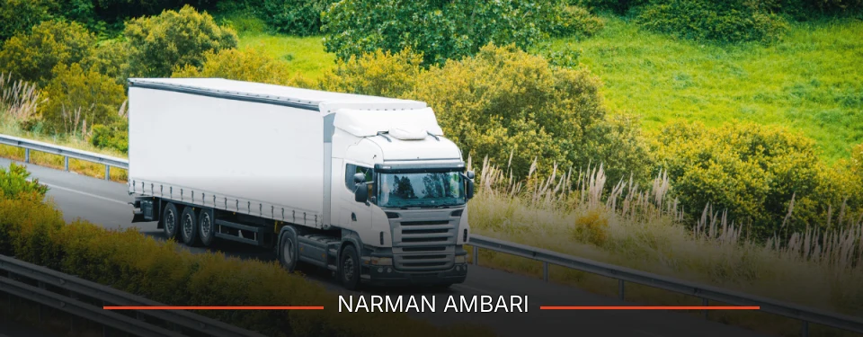 Narman Ambarı