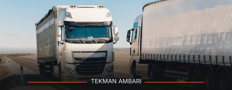 Tekman Ambarı